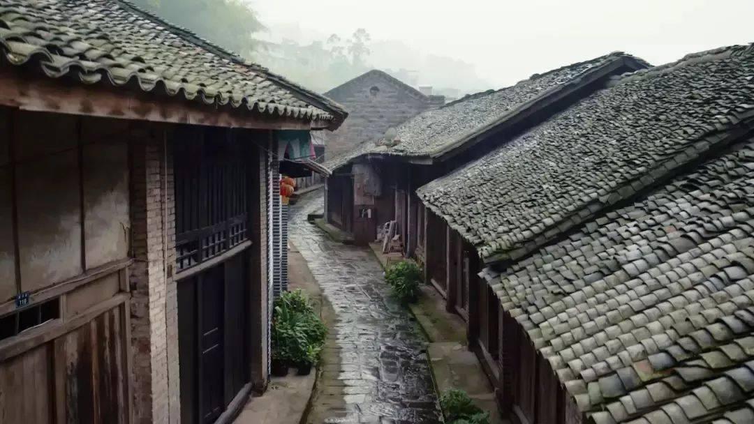 胶州市九龙街道联合市妇联举办“巧嫂进家•幸福万家”巾帼家政项目展示赛暨迎新春文化惠民演出活动